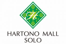 Rolling Door Solo
